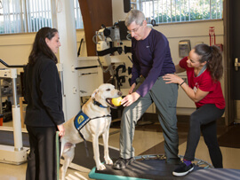 patient working with therapist and therapy dog
