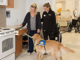 Therapy dog assisting patient